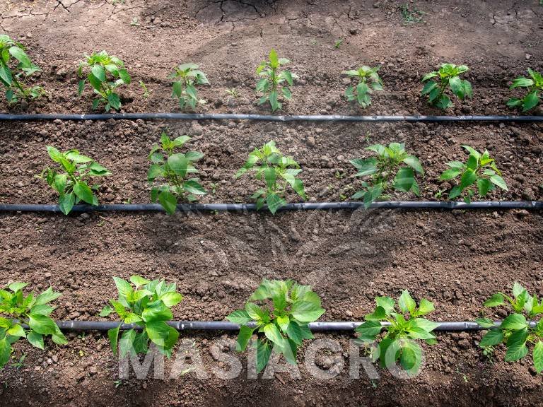 Sistemas de riego masiagro